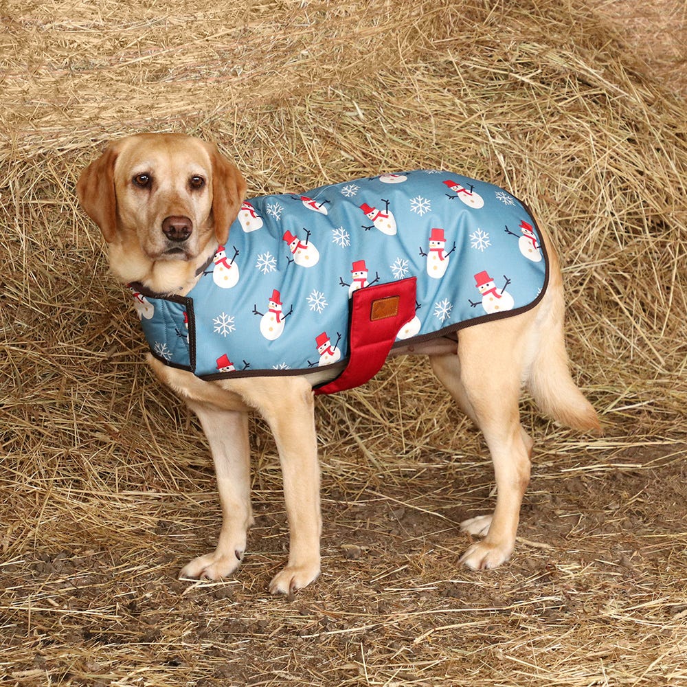 Benji &amp; Flo Snowy the Snowman Dog Coat image 2